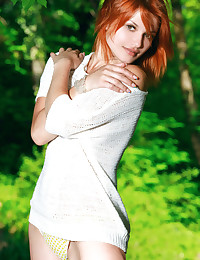 Violla A bring to light